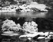 Snow on Fallen Branch Merced River Yosemite National Park 1987