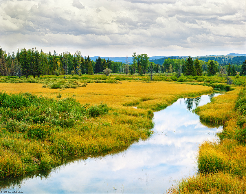 Stream, Trees, Clouds, Wyoming